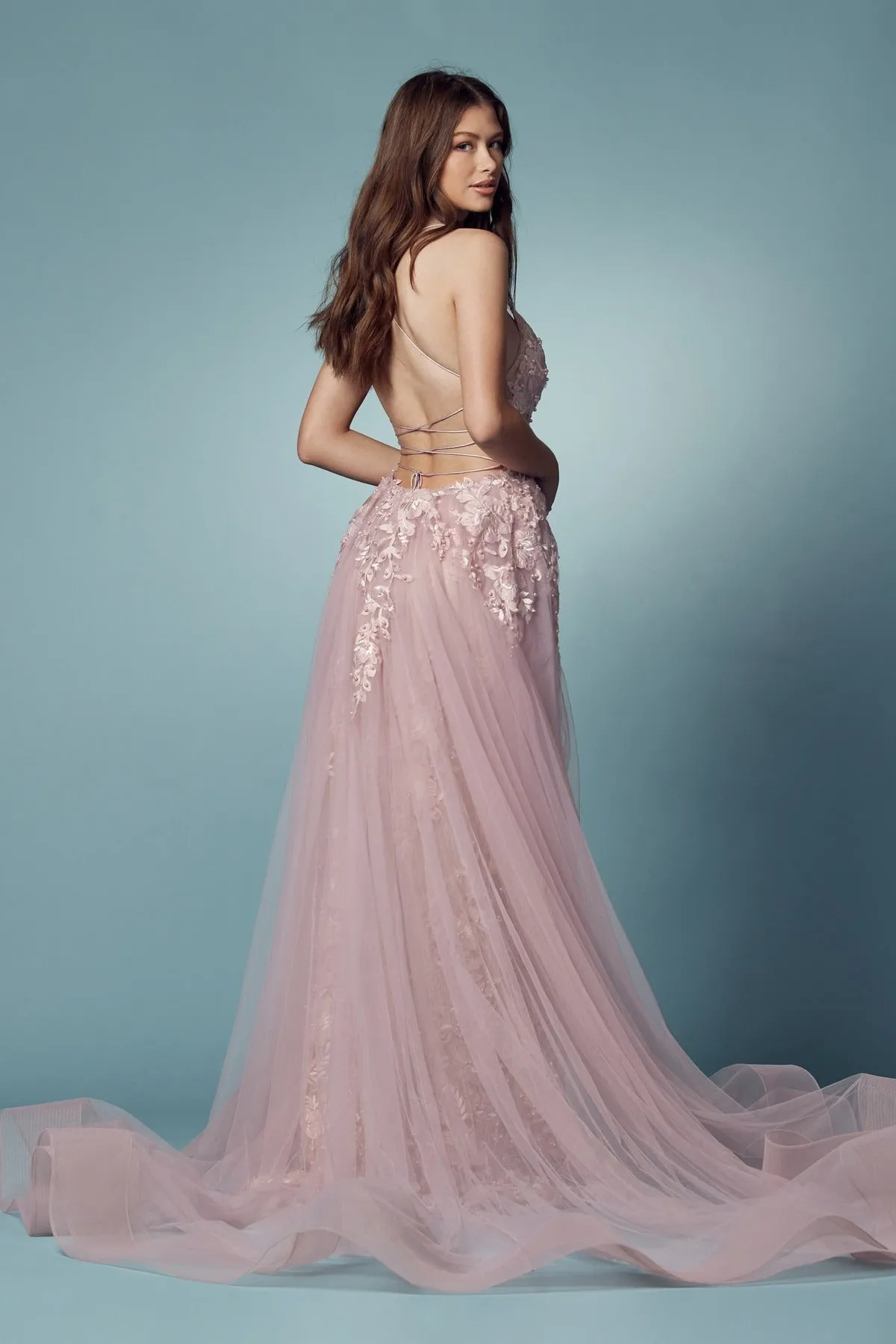 Embroidered Lace Illusion V-Neck Tulle Skirt Long Prom Dress NXF485